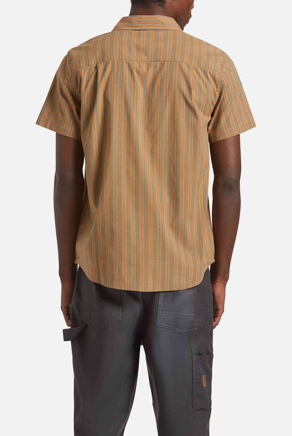 Men's Charter Stripe S/S Shirt in the color Rustic Caramel/Night Sage - Men's Back View