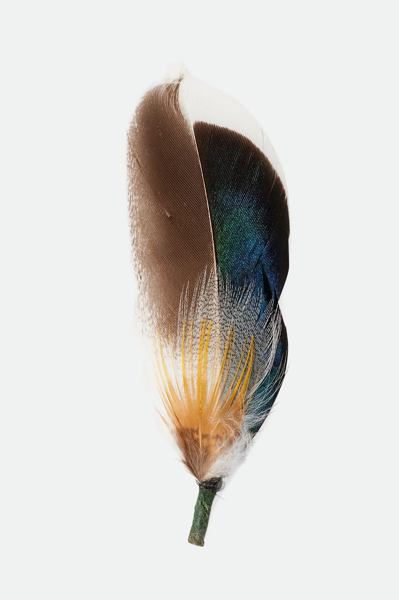 Unisex Brixton Hat Feather in the color Moonlit Ocean/Bison/Mojave - Front Product View