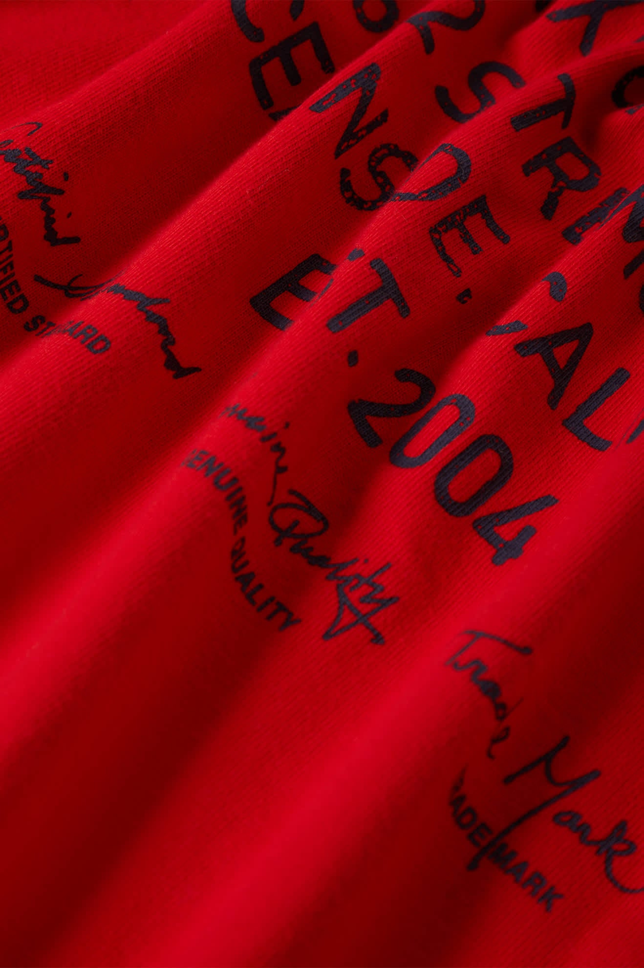 Men's Union Heavyweight Relaxed T-Shirt in the color Adrenaline Rush Classic Wash - Additional Laydown image