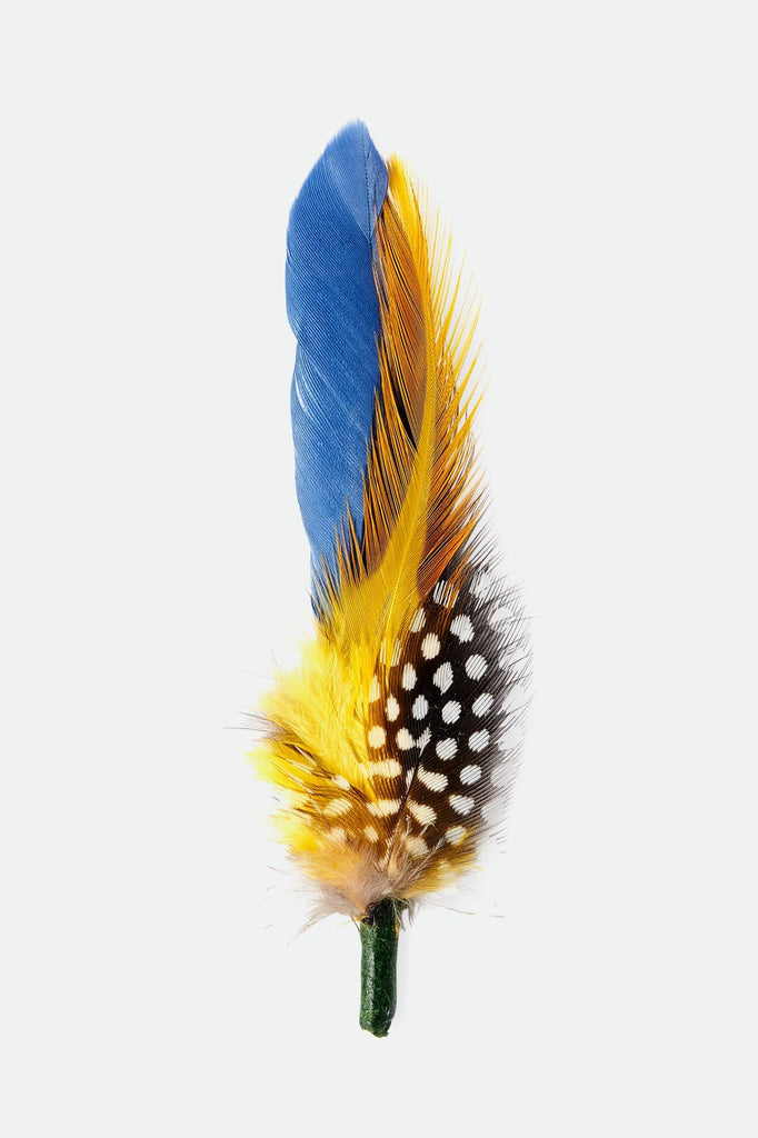 Unisex Brixton Hat Feather in the color Joe Blue/Black/Yellow - Front Product View