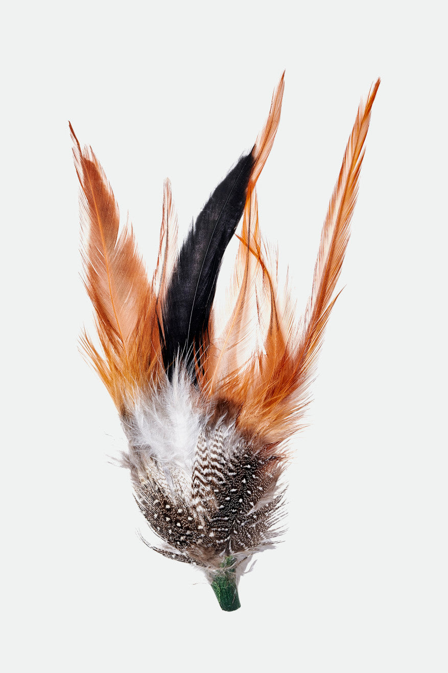 Brixton Unisex Brixton Hat Feather - Burnt Orange/Black/Mahogany | Main